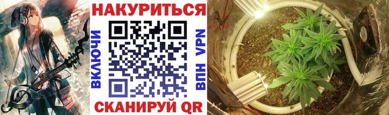 Бошки Шишки гибрид  купить  цена  Нижний Ломов 